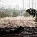 동북·중서부에선 폭염에 산불…남부엔 첫 열대성 폭풍 강타