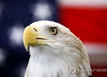 미국상징 '흰머리수리' 공식 國鳥 됐다…바이든, 법안에 서명